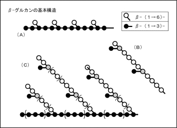 β-グルカンの基本構造