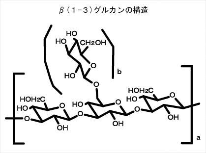 β-（１→３)グルカンの構造