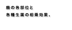 鹿の各部位と各種生薬の相乗効果。